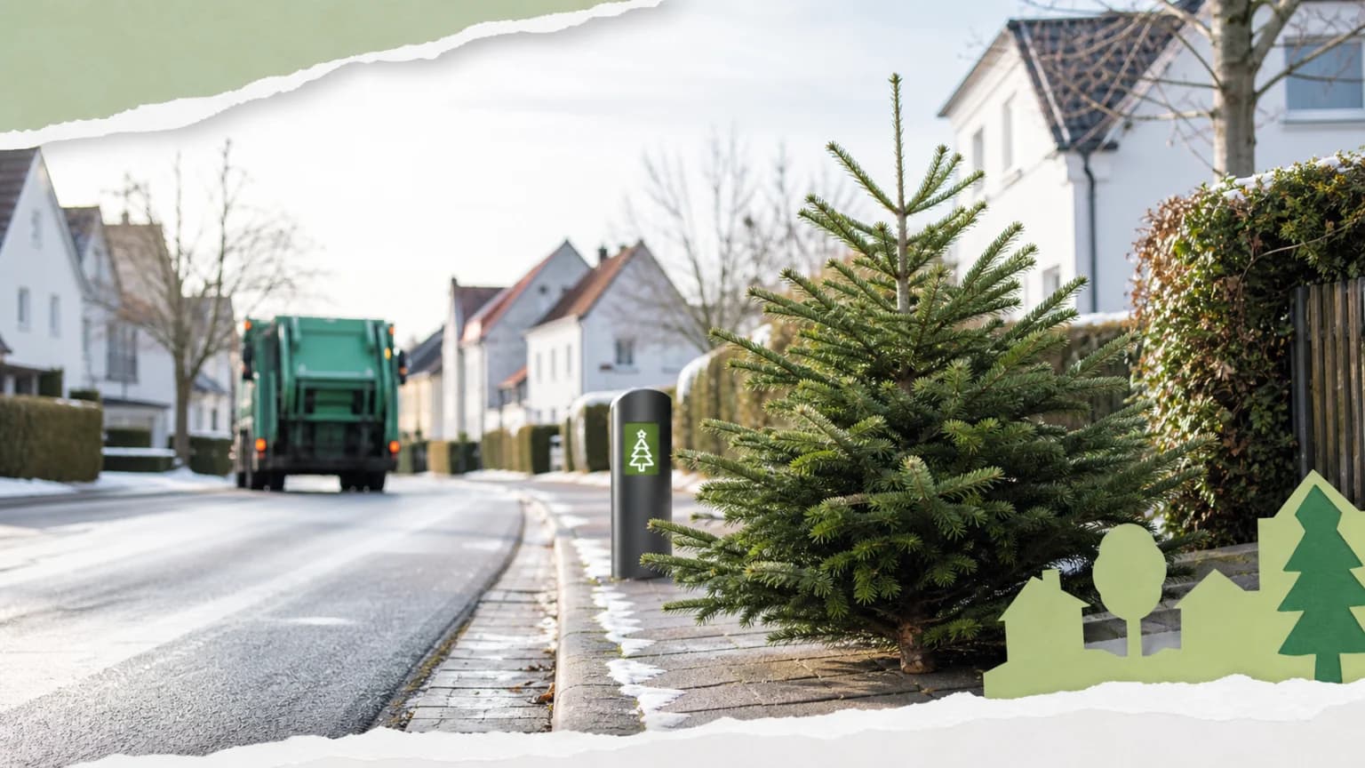 Weihnachtsbaumverkauf im Wisentreservat startet